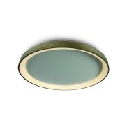 ONE Light LED Decorative - plafondverlichting - Ø 58 x 5,7 cm - 48W LED incl. - geborsteld goud