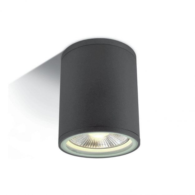 ONE Light PAR30 Outdoor Cylinders - buiten plafondverlichting - Ø 10,6 x 13,4 cm - IP54 - antraciet