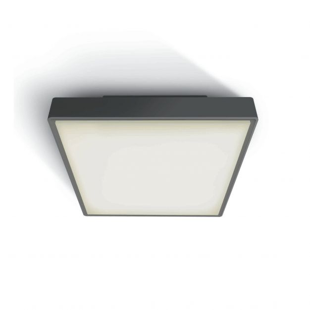 ONE Light LED Plafo Outdoor Square - buiten plafondverlichting - 29,5 x 29,5 x 8 cm - 24W LED incl. - IP65 - antraciet