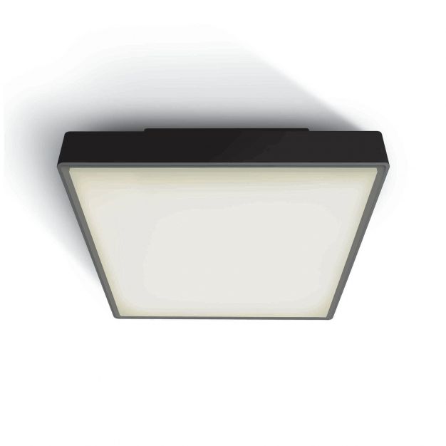 ONE Light E27 Plafo Outdoor Square - buiten plafondverlichting - 29,5 x 29,5 x 10,5 cm - IP65 - zwart