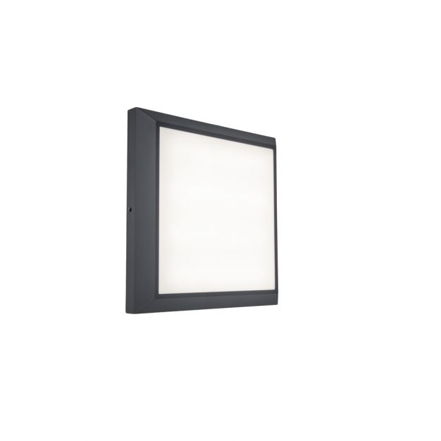 Lutec Helena - wand/plafondverlichting - 22 x 22 x 3,6 cm - 20W LED incl. - donkergrijs - wit