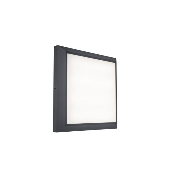 Lutec Helena - wand/plafondverlichting - 22 x 22 x 3,6 cm - 21,5W LED incl. - donkergrijs - wit