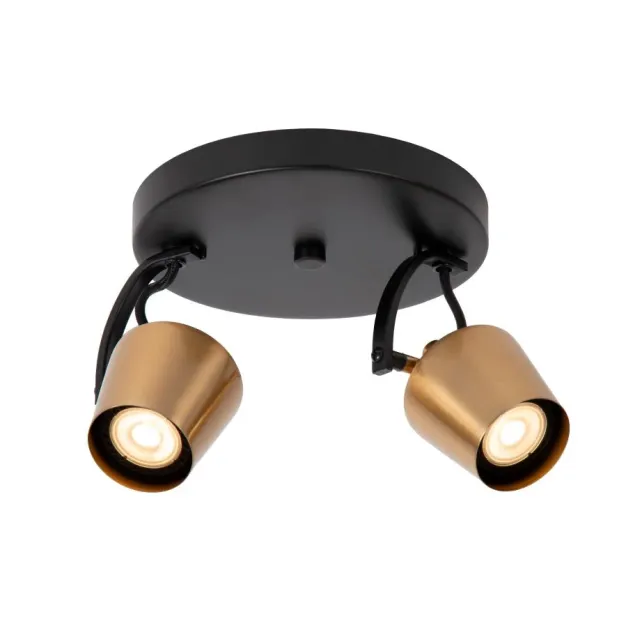 Lucide Emile - opbouwspot 2L - Ø 20 x 17,5 cm - mat goud en zwart