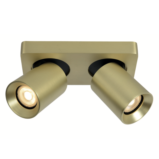 Artdelight Megano - opbouwspot 2L - 20 x 10 x 11,5 cm - mat goud