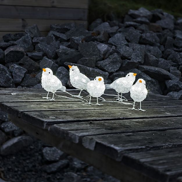 Konstsmide kerstverlichting - decoratieve vogelset (5 stuks) - 16 x 11,5 x 400 cm - IP44 - transparant