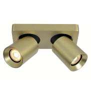 Artdelight Megano - opbouwspot 2L - 20 x 10 x 11,5 cm - mat goud