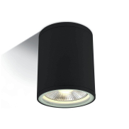 ONE Light PAR30 Outdoor Cylinders - buiten plafondverlichting - Ø 10,6 x 13,4 cm - IP54 - zwart