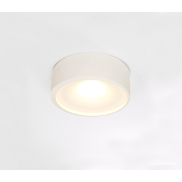 Artdelight Orlando - plafondverlichting - Ø 14 x 5 cm - 10W dimbare LED incl. - wit
