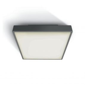 ONE Light E27 Plafo Outdoor Square - buiten plafondverlichting - 22,1 x 22,1 x 9,3 cm - IP65 - antraciet