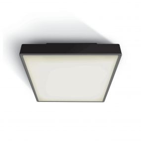 ONE Light E27 Plafo Outdoor Square - buiten plafondverlichting - 22,1 x 22,1 x 9,3 cm - IP65 - zwart