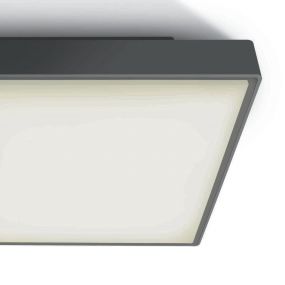 ONE Light E27 Plafo Outdoor Square - buiten plafondverlichting - 29,5 x 29,5 x 10,5 cm - IP65 - antraciet