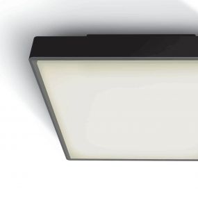 ONE Light E27 Plafo Outdoor Square - buiten plafondverlichting - 29,5 x 29,5 x 10,5 cm - IP65 - zwart