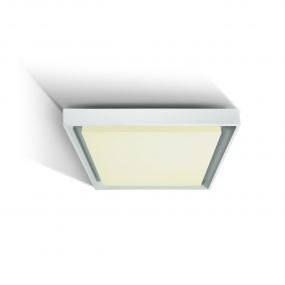 ONE Light Outdoor Project - buiten plafondverlichting - 34 x 34 x 5 cm - 30W LED incl. - IP54 - wit