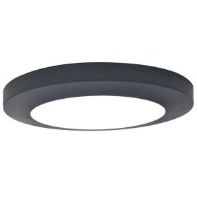 Lutec Kayah - plafondverlichting - Ø 30,5 x 4 cm - 16,5W LED incl. - IP54 - donker grijs 