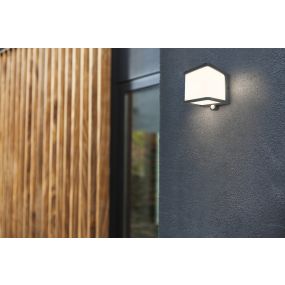 Lutec Doblo - buiten wandverlichting met sensor op zonne-energie - 11 x 12,9 x 11 cm - IP54 - donkergrijs - wit