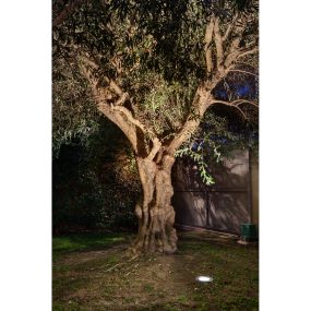 Faro Salt Asimetric - ronde grondspot voor buiten - Ø 180 mm, Ø 170 mm inbouwmaat - 9W LED incl. - IP67 - satijn inox