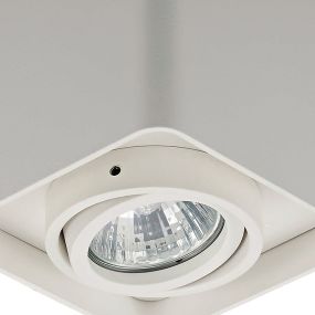 Zuma Line Quadry SL 1 - opbouwspot 1L - 10 cm - wit