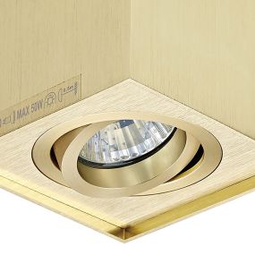 Zuma Line Quadro - opbouwspot 1L - 9 x 12 cm - geborsteld goud