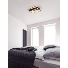 Nova Luce Elize - plafondlamp - 43,2 x 35 x 8 cm - 28W dimbaar LED incl. - zwart en goud