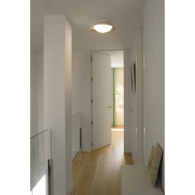 Faro Side - wand/plafondverlichting - Ø 39 x 11 cm - 15W LED incl. - zwart en goud