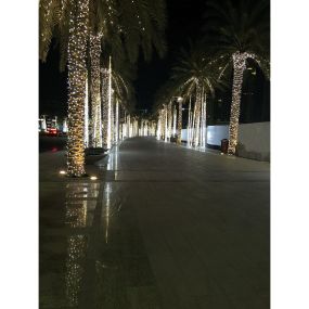 ONE Light Decorative Light Stars - feestelijke verlichting - 1000 cm - 100 stuks - IP54 - zwart - warm witte lichtkleur