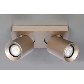 Artdelight Megano - opbouwspot 2L - 20 x 10 x 11,5 cm - champagne