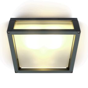 ONE Light Outdoor E27 Square - buiten plafond/wandverlichting - 25 x 25 x 9,5 cm - IP54 - antraciet