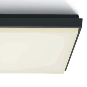 ONE Light Outdoor Slim LED - buiten plafondverlichting - 23,8 x 23,8 x 4,6 cm - 25W LED incl. - IP54 - antraciet