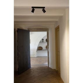 Faro Stan - opbouwspot 2L - 33,6 x 13,4 x 9,8 cm - mat zwart