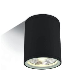 ONE Light PAR30 Outdoor Cylinders - buiten plafondverlichting - Ø 10,6 x 13,4 cm - IP54 - zwart