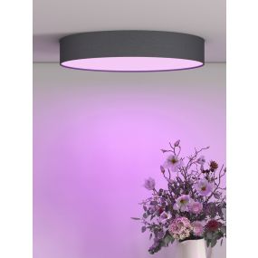 Calex Smart Ceiling Light - dimfunctie en instelbare lichtkleur via app - Ø 40 x 6,5 cm - 24W LED incl. - zwart