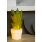 Lucide Sansevieria - tafellamp - 31 cm - groen en wit