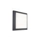 Lutec Helena - wand/plafondverlichting - 22 x 22 x 3,6 cm - 20W LED incl. - donkergrijs - wit