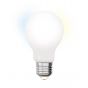 iDual LED-lamp met afstandsbediening - Ø 6 x 10,8 cm - E27 - 9W dimbaar - 2200K tot 6500K - melkglas 
