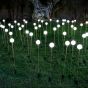 New Garden Bruna - set van 3 stuks - tuinpaal op zonne-energie - Ø8 x 80 cm - 3 x 0,5W LED incl. - IP65 - wit