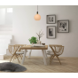Lucide Julius - hanglamp - Ø 20 x 160 cm - opaal