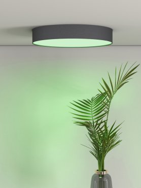 Calex Smart Ceiling Light - dimfunctie en instelbare lichtkleur via app - Ø 30 x 6,5 cm - 16W LED incl. - zwart