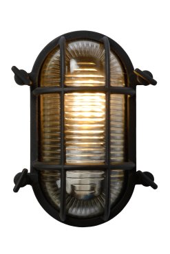 Lucide Dudley - buiten wandverlichting - 20 x 14 x 10 cm - IP65 - zwart