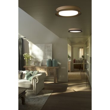 Faro Tender - plafondverlichting - Ø 45 x 8,2 cm - 24W LED incl. - zwart en bruin