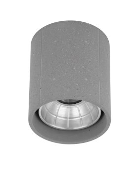 Nova Luce Ritz - buiten plafondverlichting - Ø 10,2 x 12 cm - 10W LED incl. - IP65 - grijs