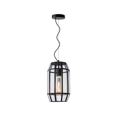 Lucide Fern - hanglamp - Ø 20 x 160 cm - zwart