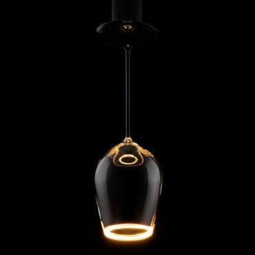 Segula LED lamp - Floating Wine - Ø 12 x 37 cm - E27 - 5W dimbaar - 2200K - zwart en transparant