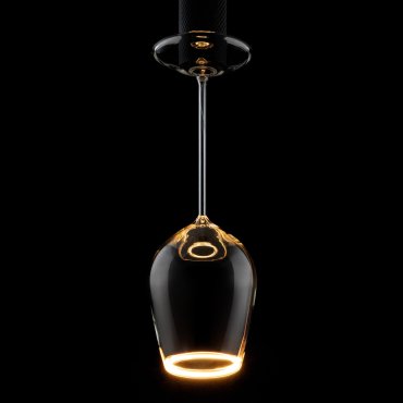 Segula LED lamp - Floating Wine - Ø 12 x 37 cm - E27 - 5W dimbaar - 2200K - transparant