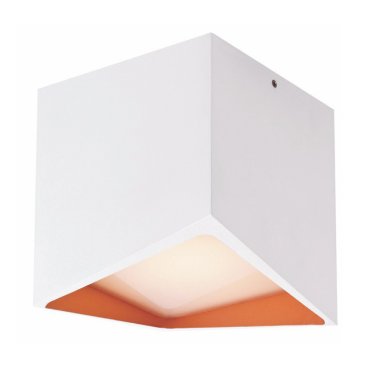 Artdelight Kiel - buiten plafondverlichting - 10 x 10 x 11 cm - 12W dimbare LED incl. - IP54 - wit