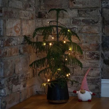 Konstsmide - LED-licht ketting op batterijen - 335 cm - 20 x 0,06W incl. - warmwitte lichtkleur - transparant