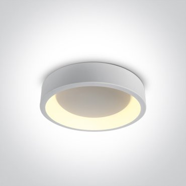 ONE Light LED Decorative Plafo Round - plafondverlichting - Ø 45,5 x 13,2 cm - 32W LED incl. - wit - instelbare lichtkleur