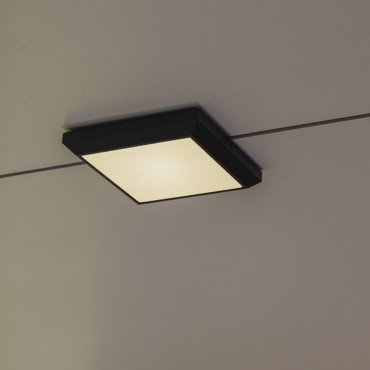 Lutec Helena - wand/plafondverlichting - 22 x 22 x 3,6 cm - 21,5W LED incl. - donkergrijs - wit