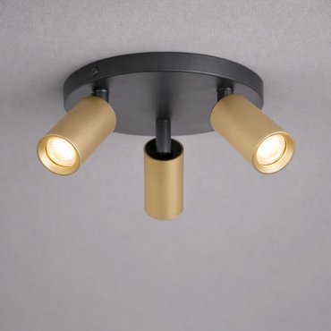 Projectlight Clara - opbouwspot 3L - Ø 18 x 10 cm - goud