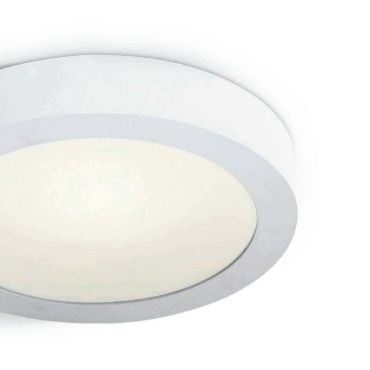 ONE Light LED Plafo Round - plafondverlichting - Ø 30 x 3,9 cm - 30W LED incl. - IP40 - wit - warm witte lichtkleur