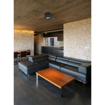 Faro Tecto QR111 - plafondverlichting - 13,5 x 13,5 x 12 cm - mat zwart